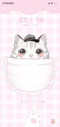 呆萌口袋猫