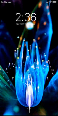 Blue Light Rays_DWM3