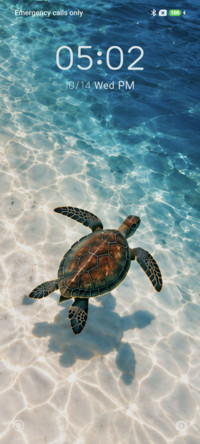 Turtle Lagoon