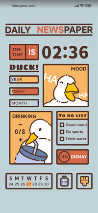 Duck newspaper
