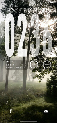 光在绿意里