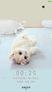 小猫咪