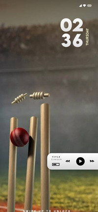 Stumps Cricket
