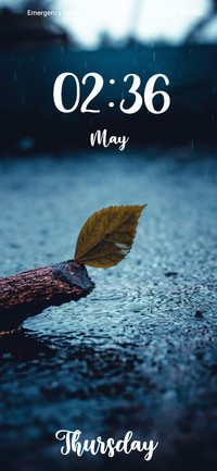 Leaf