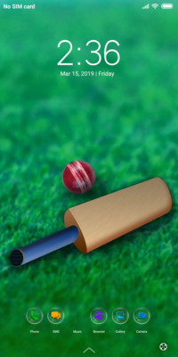 Spot_Cricket