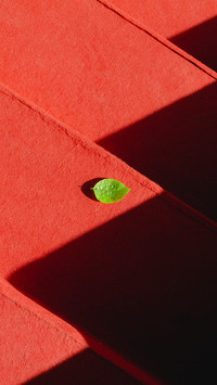 One leaf one bodhi