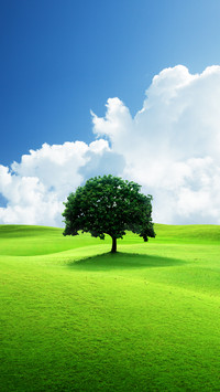 Eye protection and fresh grass