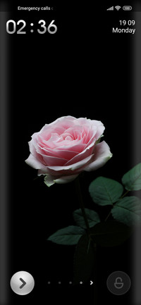 Rose trance