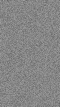 Turing Pattern