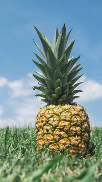 pineapple (5)