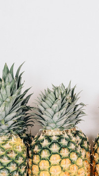 pineapple (6)