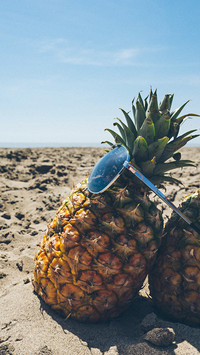 pineapple (1)