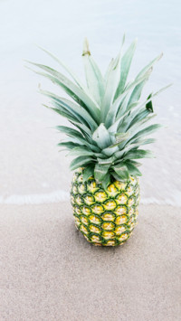 pineapple (4)