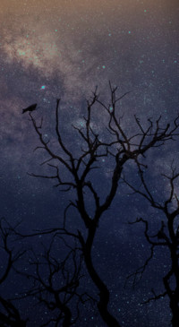 Mystery (37)