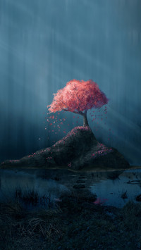 Creative wallpapers