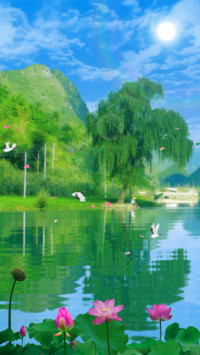 青山碧水