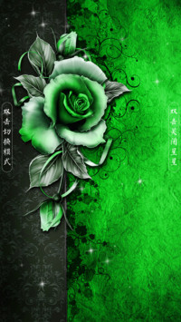 玫瑰之约