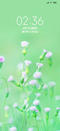 清新花开