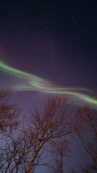 The northern lights in the night sky