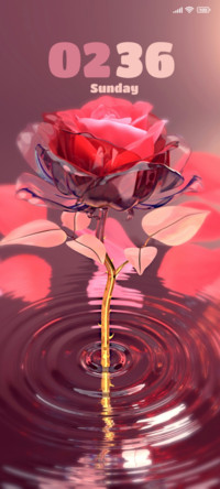 Timeless Love