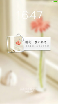 氢玫瑰prov7