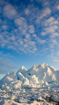 Arctic frost landscape