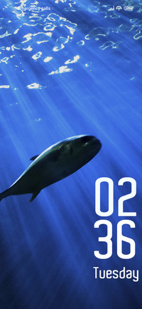 Deep Fish