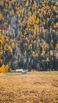 Top 12 chinese autumn colors
