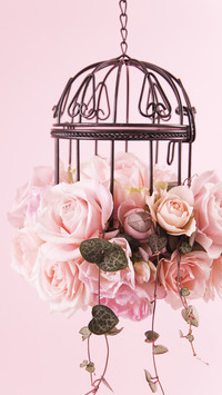 International-Roses