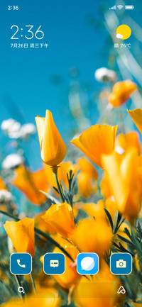 Wow Flowers