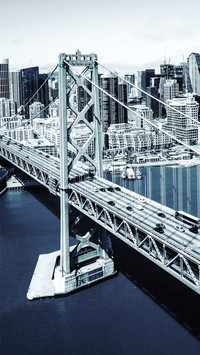 Bridge (8)