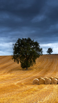 Straw bales in the field at sunset with dramatic sky