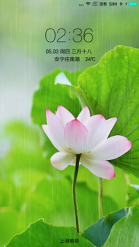 唯美荷花