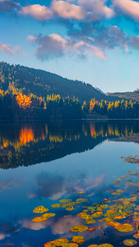 Lake