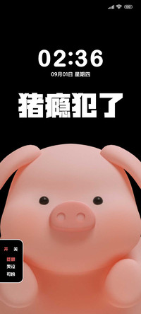 猪瘾犯了 大脸萌
