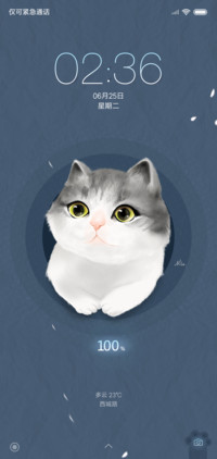 做我的猫