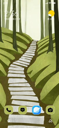 Forest Trail
