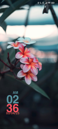 Red Petaled