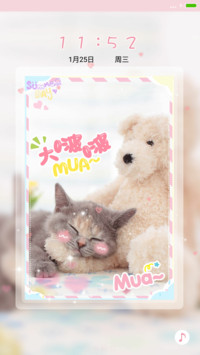 快乐小萌猫