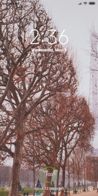 Fallen leaves