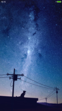 星空与猫