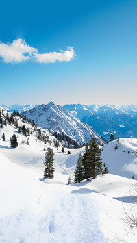 Winter snow