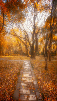 The light and shadow of Ming Dongling in late autumn