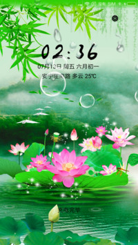 清新荷花