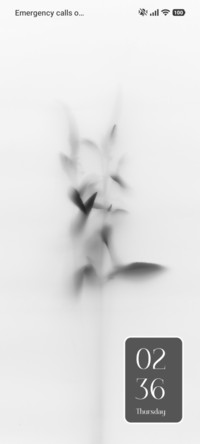 Blurry Plant