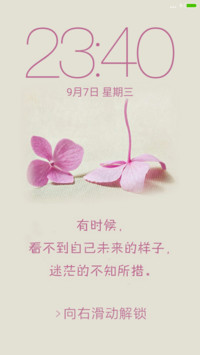 爱情四叶草
