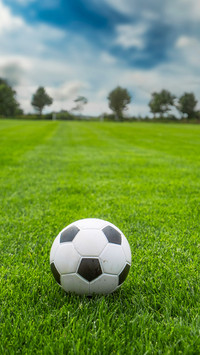 soccer ball onfreshly cut grass of training field