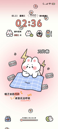 抗病小兔的日常