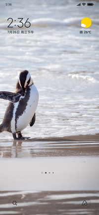 Penguin