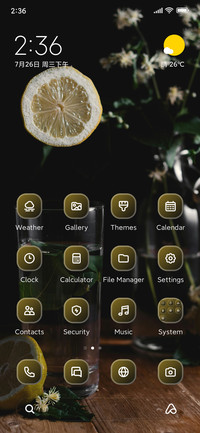 Sliced Lemon